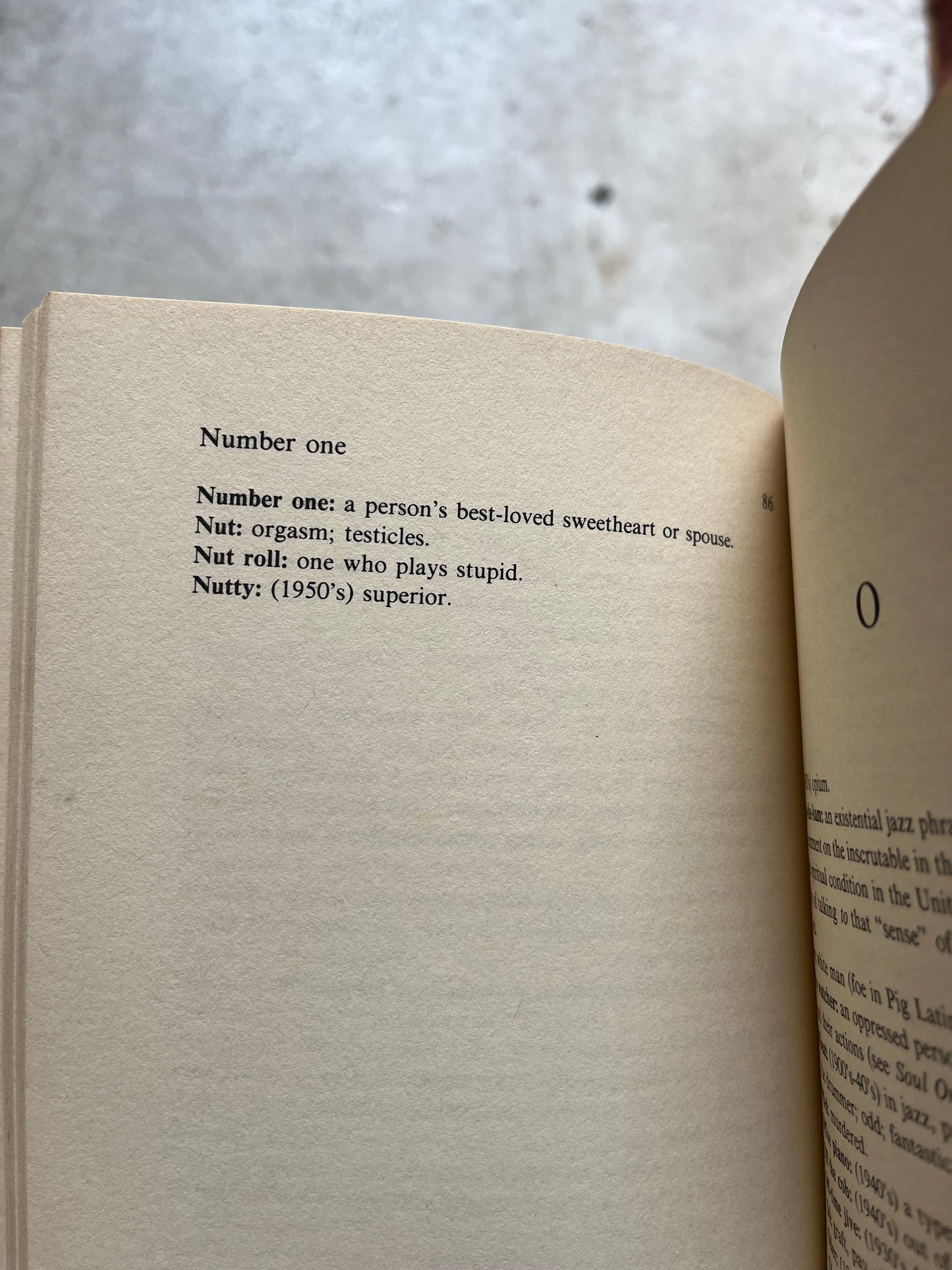 Dictionary of Afro American Slang, First Edition 1970