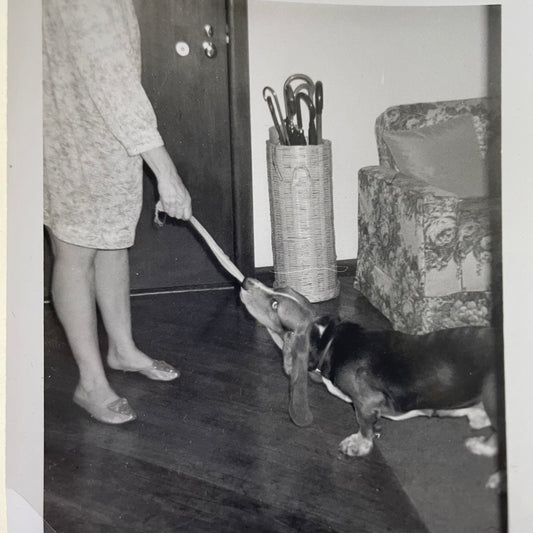 Tug of War, Snapshot, 1960s
