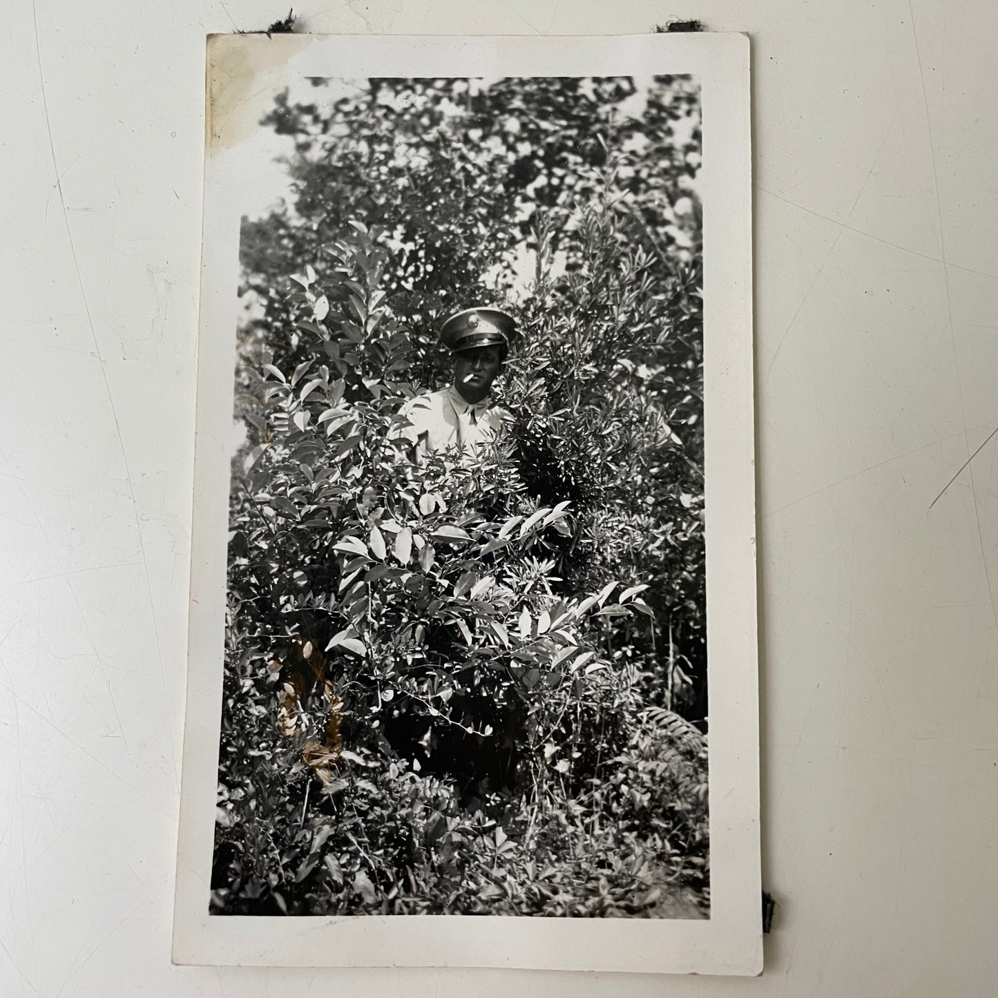 Smoking Soldier Hiding in Bushes, Snapshot, 1940s