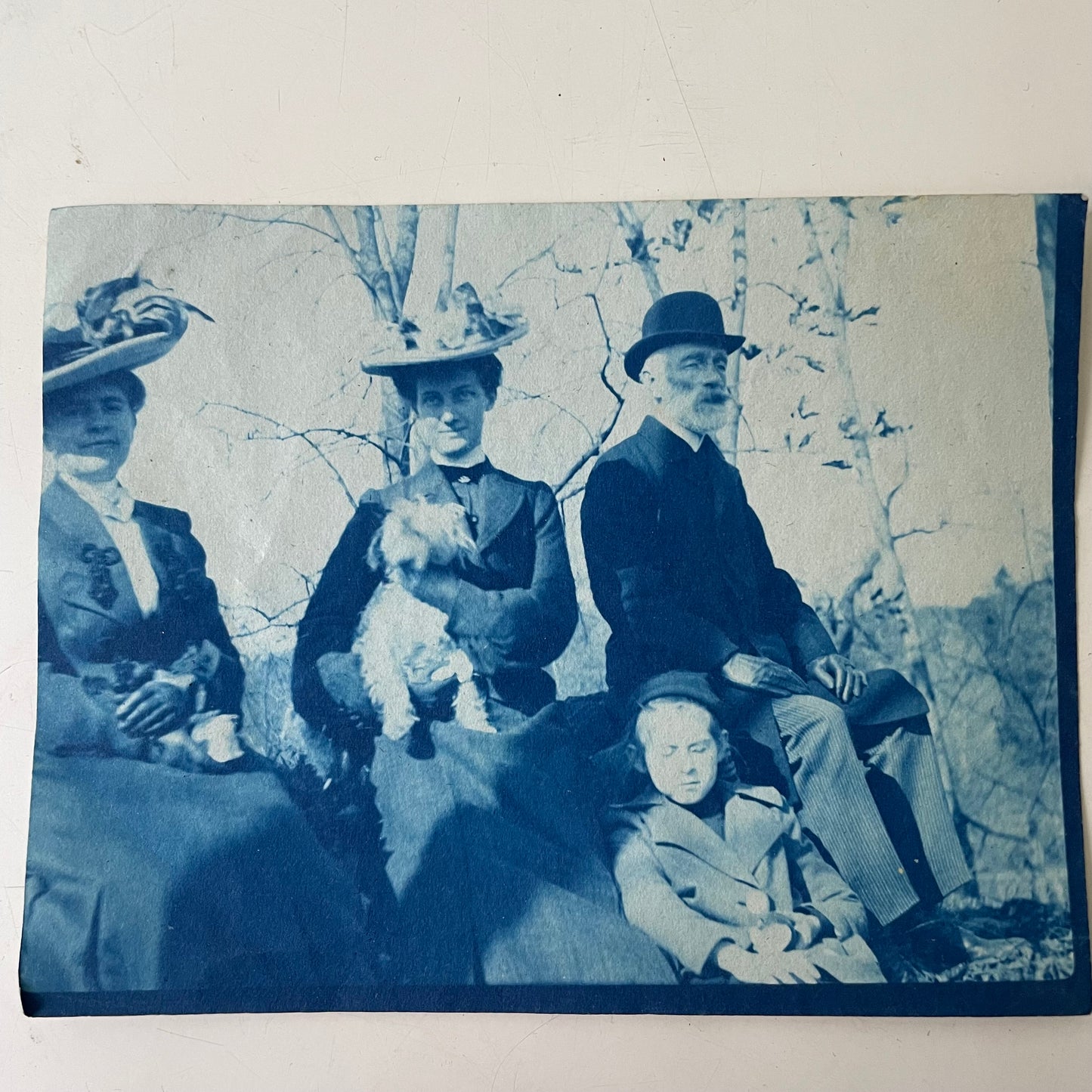 Family With Dog, Cyanotype, 1880s