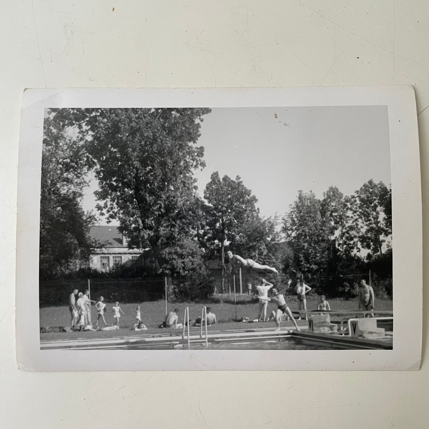 Mid-Dive Eye Contact, Snapshot, 1950s