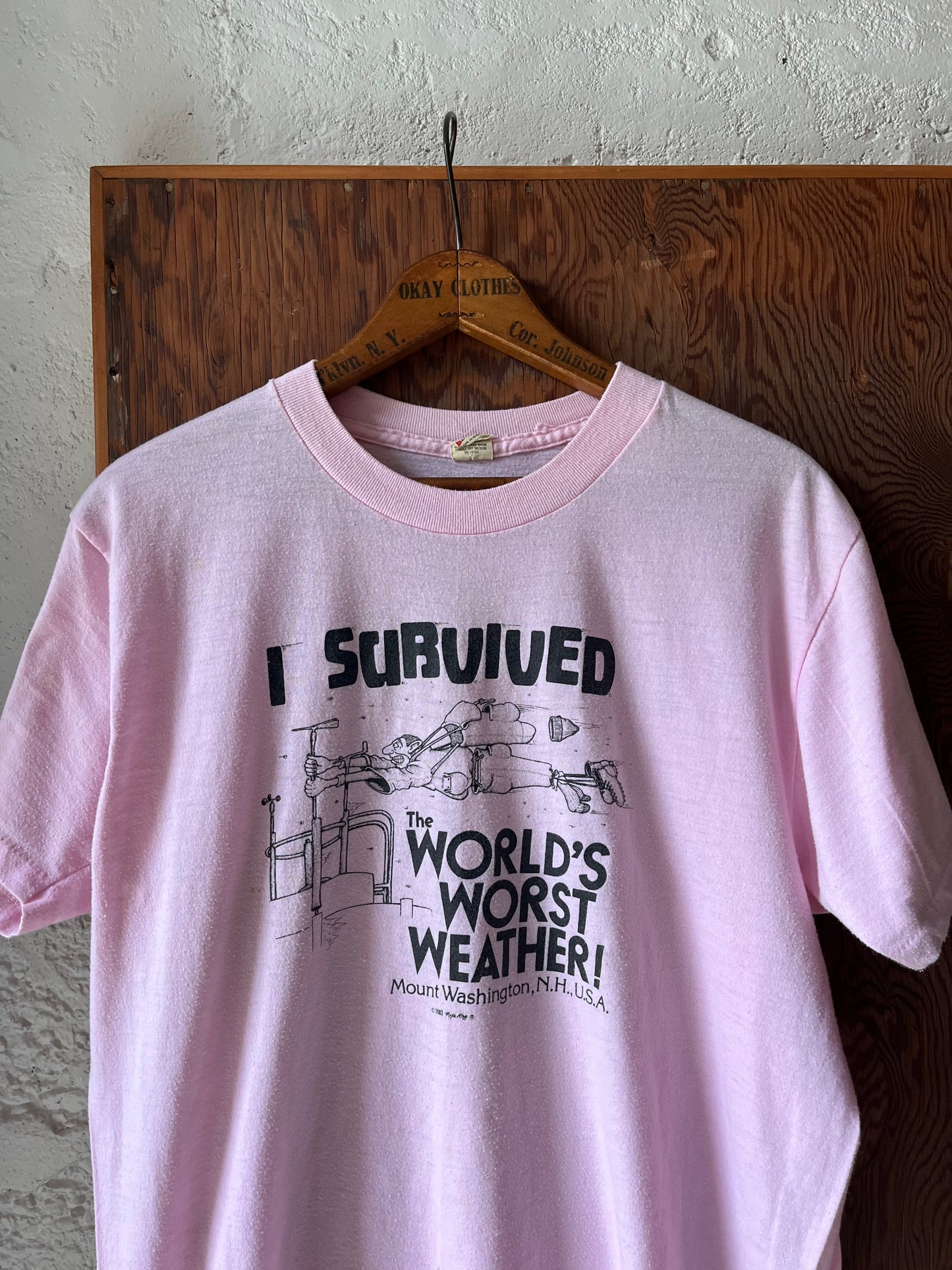 Worlds Worst Weather Shirt, Size L, 1980s