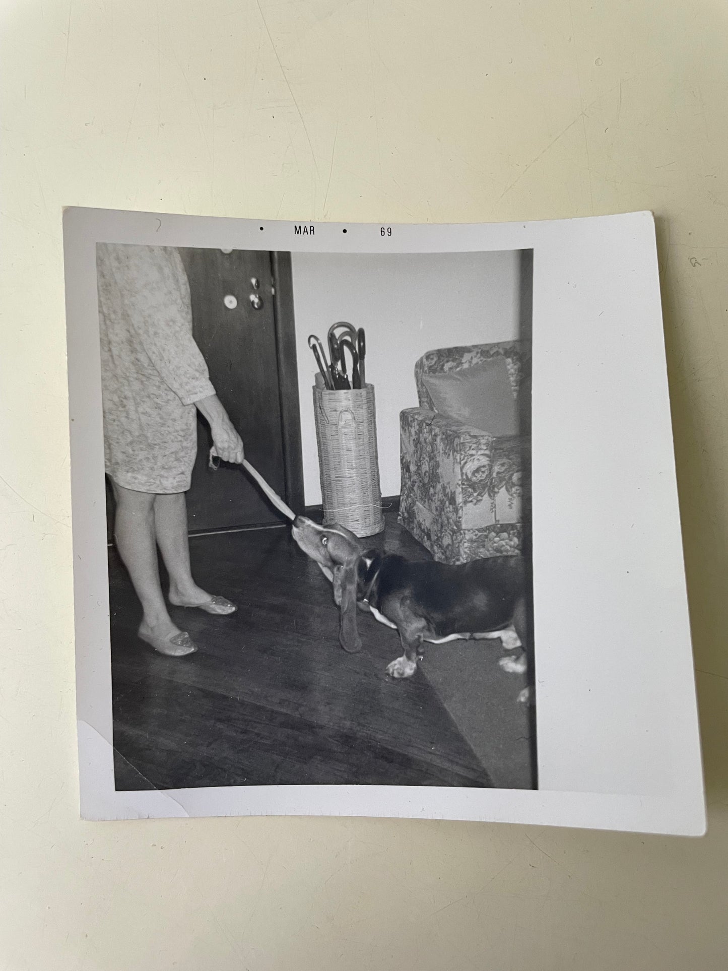 Tug of War, Snapshot, 1960s