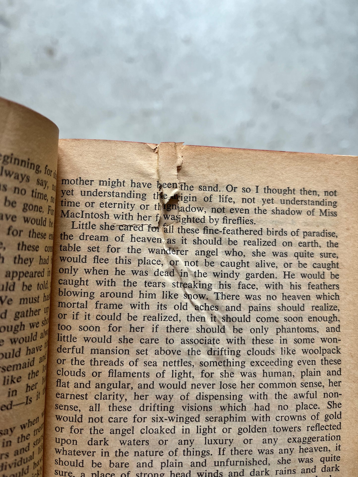 Marguerite Young, Miss Macintosh My Darling, 1967