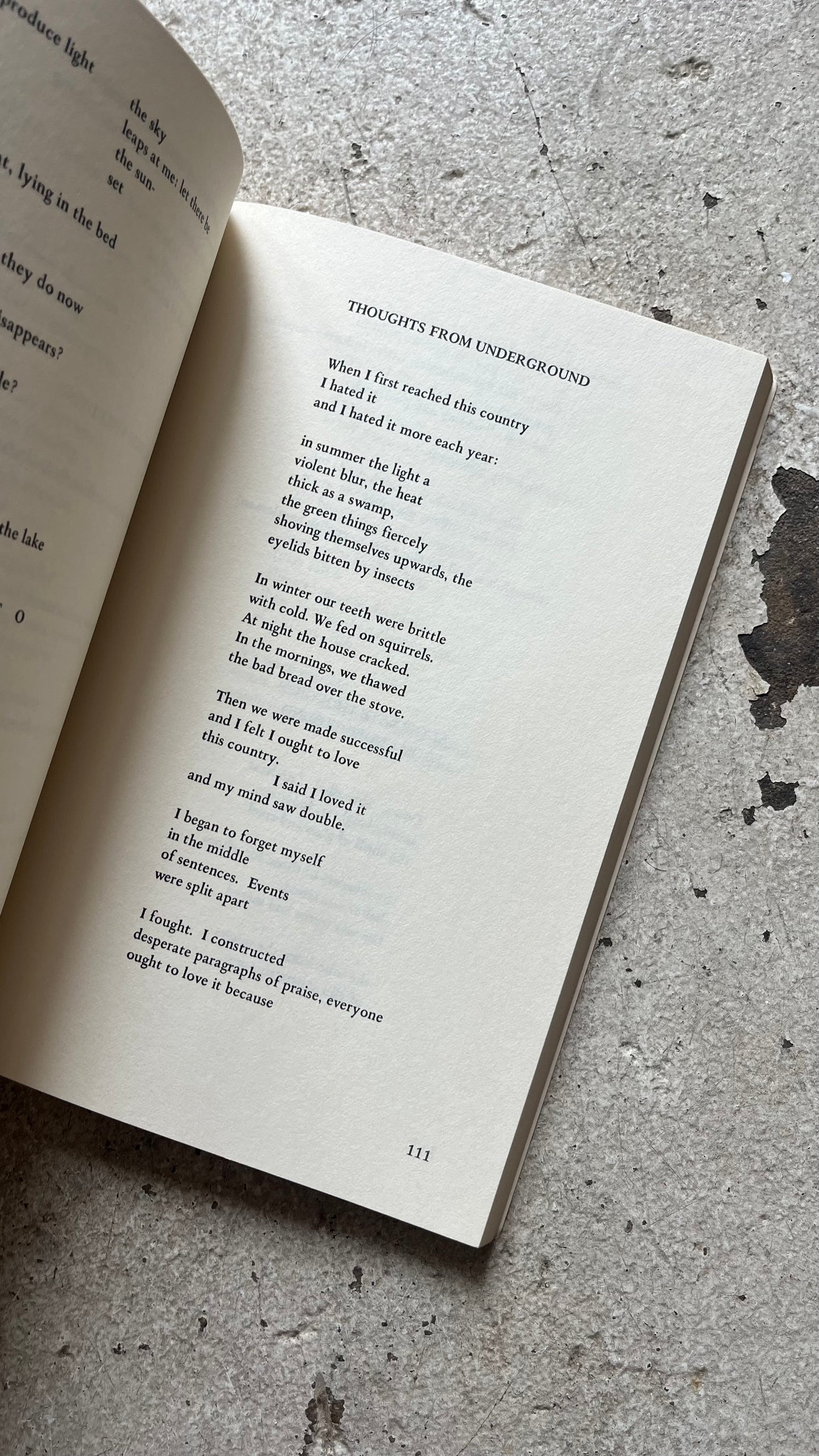 Margaret Atwood Selected Poems, 1976