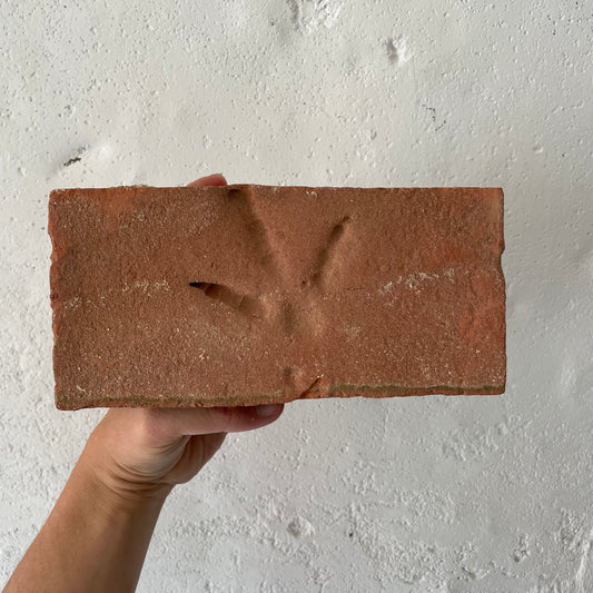 Turkey Footprint Brick, 1880/90