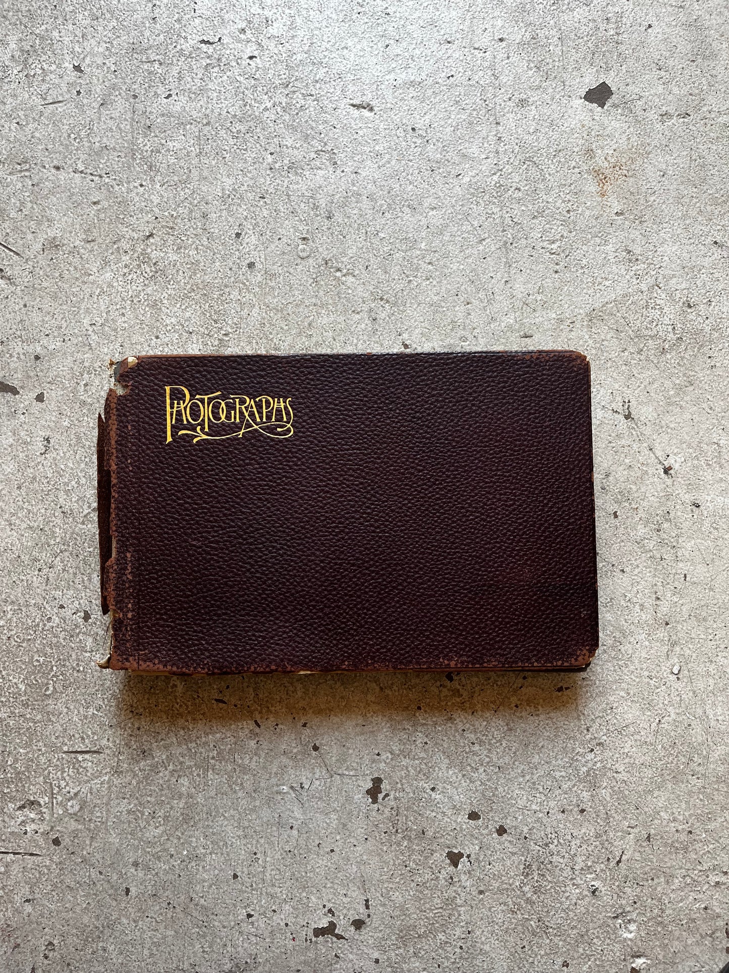 East Hampton Album, 1904 [Yachting, Swimming, Beach-Going, Cats, Polo, Bicycles]