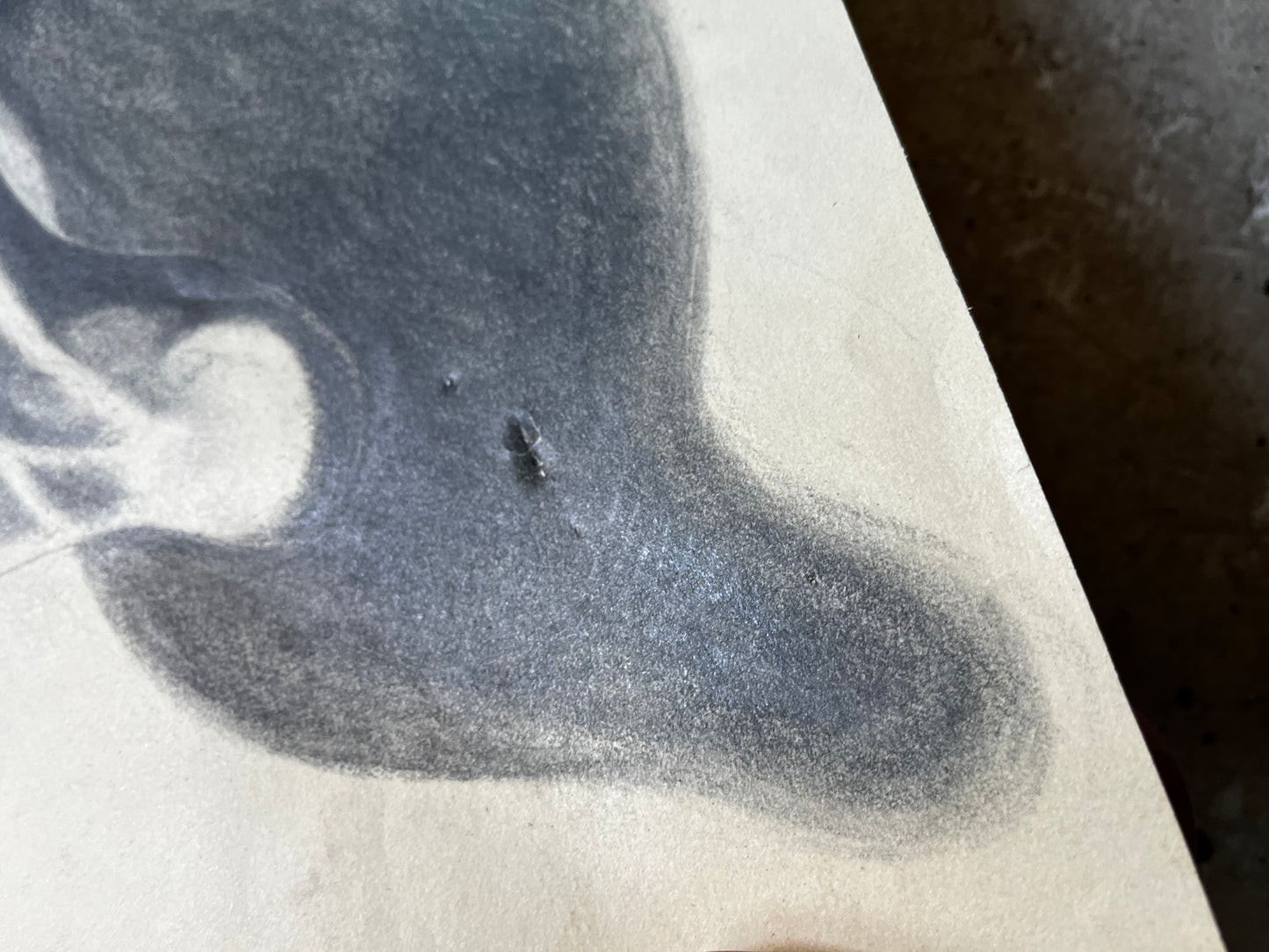 Orange Seed Study, 1970s