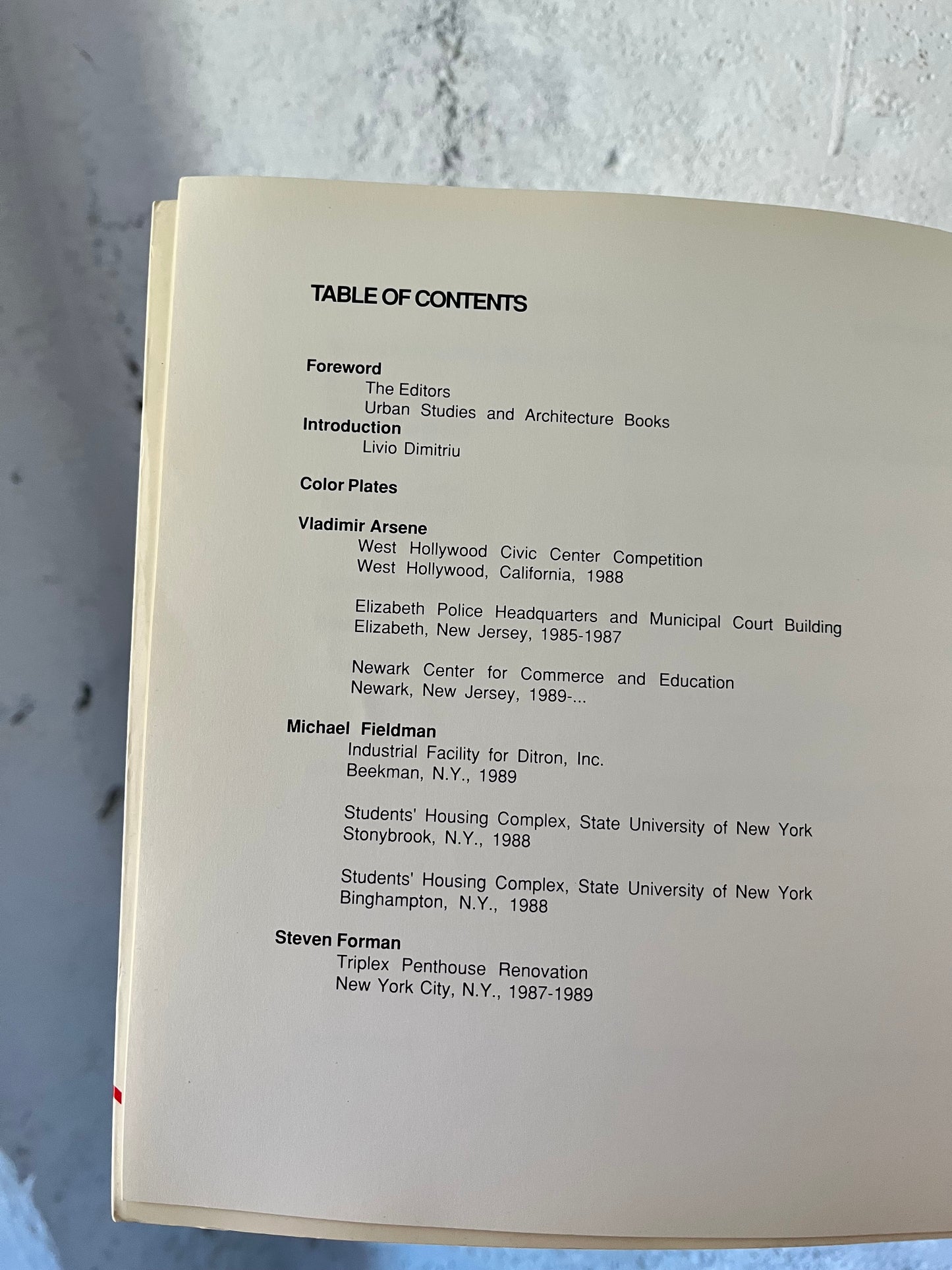 New York Architects No. 3, 1990 [Steven Holl, Richard Meier)