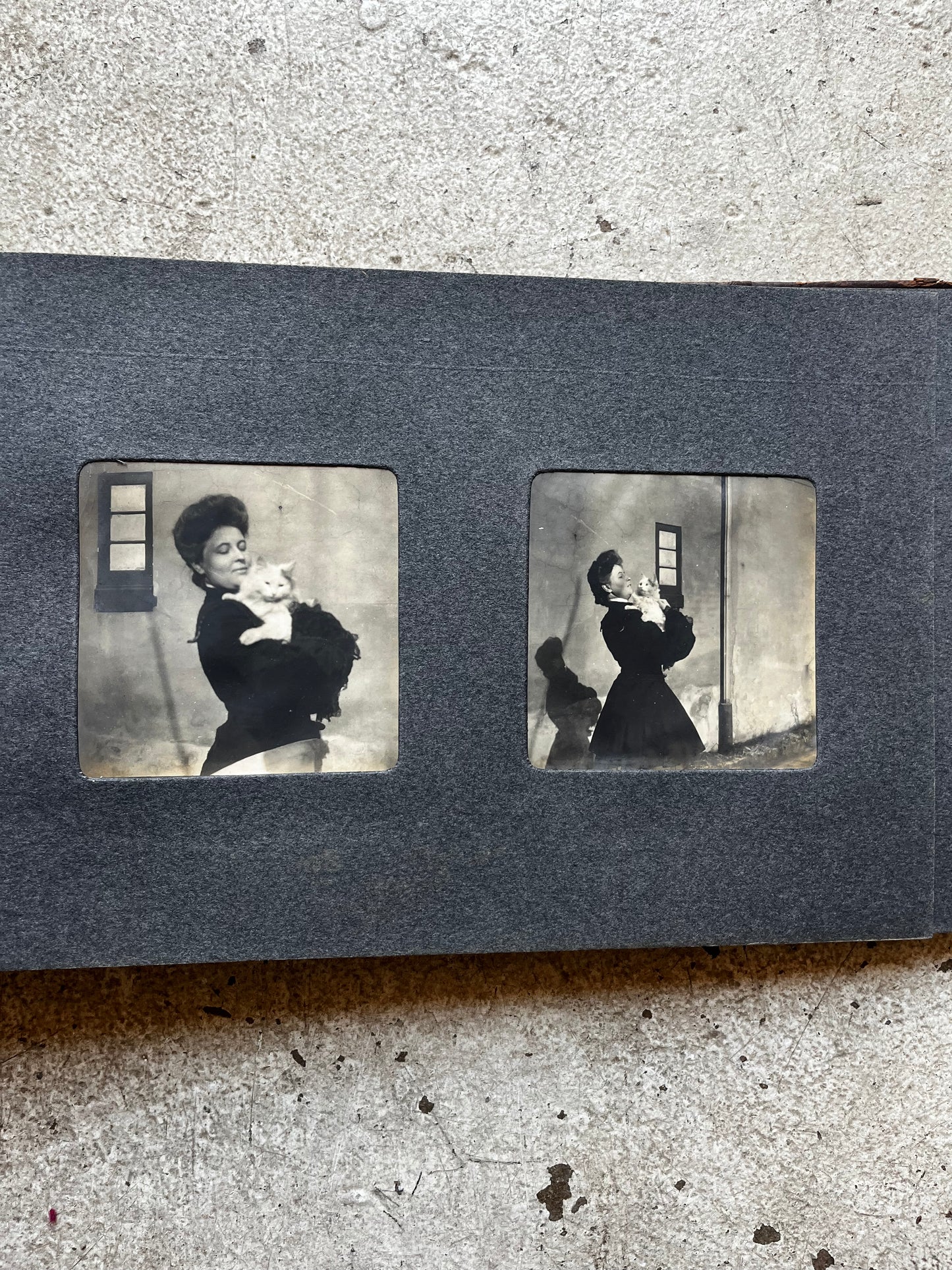 East Hampton Album, 1904 [Yachting, Swimming, Beach-Going, Cats, Polo, Bicycles]