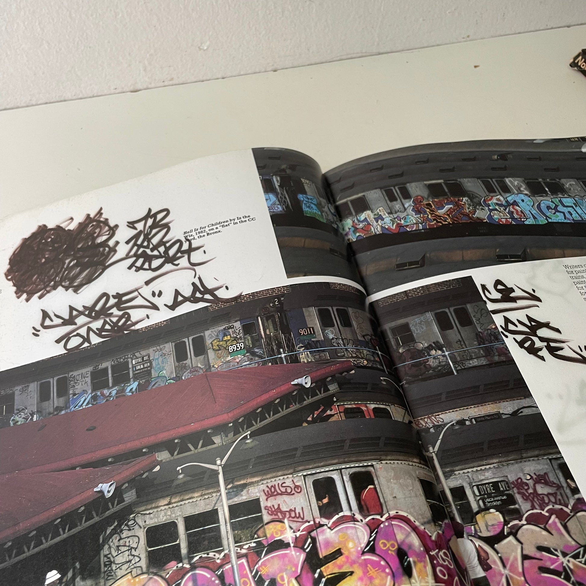 Subway Art, Martha Cooper & Henry Chalfant, 1984 (First