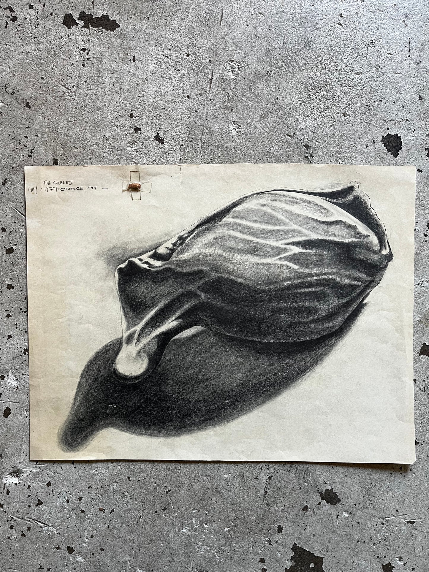 Orange Seed Study, 1970s