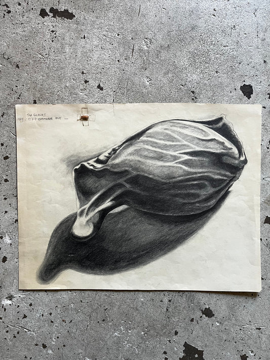 Orange Seed Study, 1970s