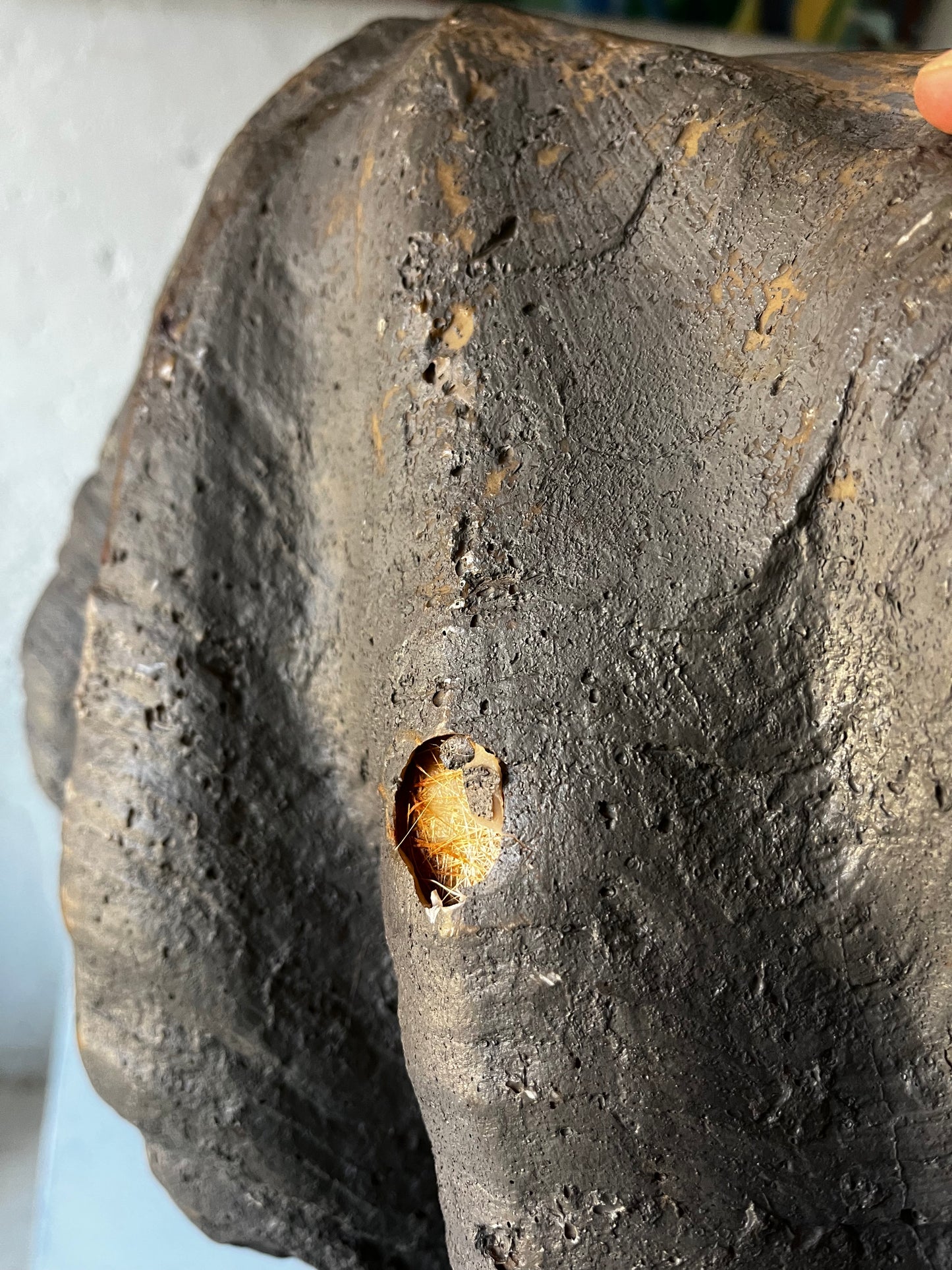 Giant Fiberglass Clam Shell, 1960s (NYC Delivery Only)