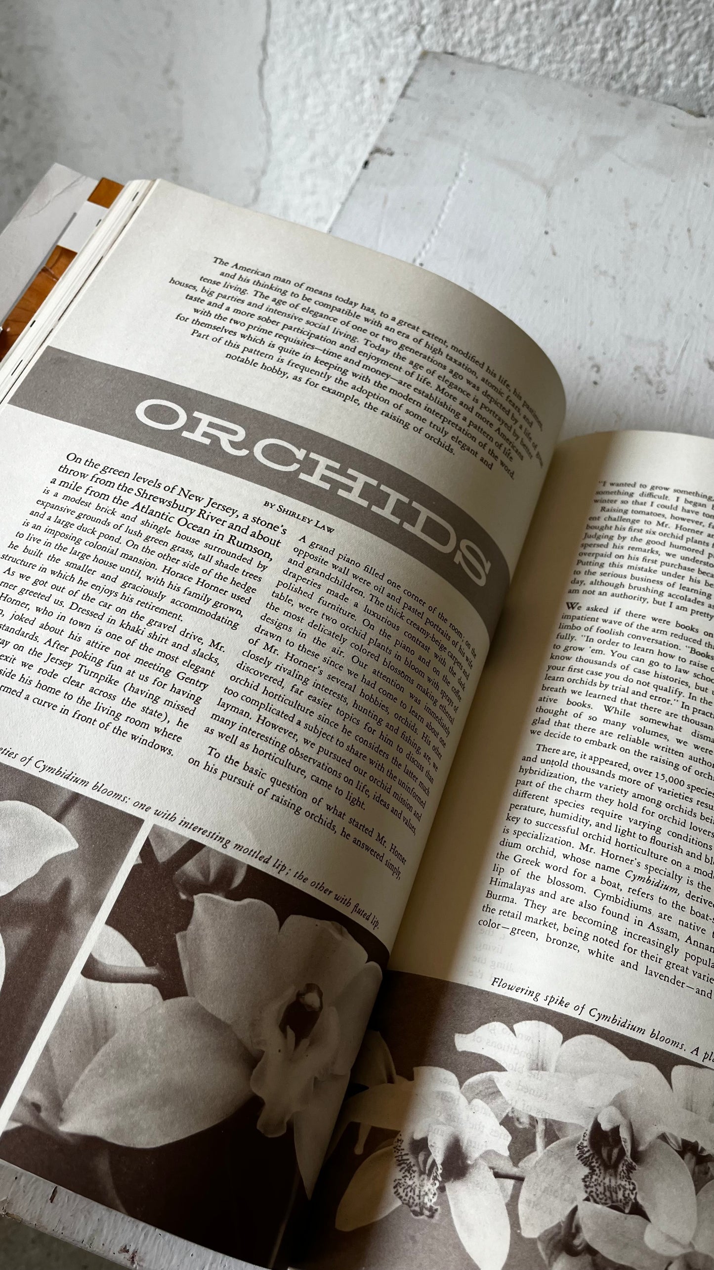 Gentry ‘Age of Elegance’ Issue, Fall 1955