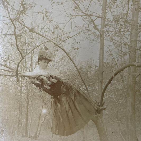 Victorian Woman in Tree, Snapshot, 1890s