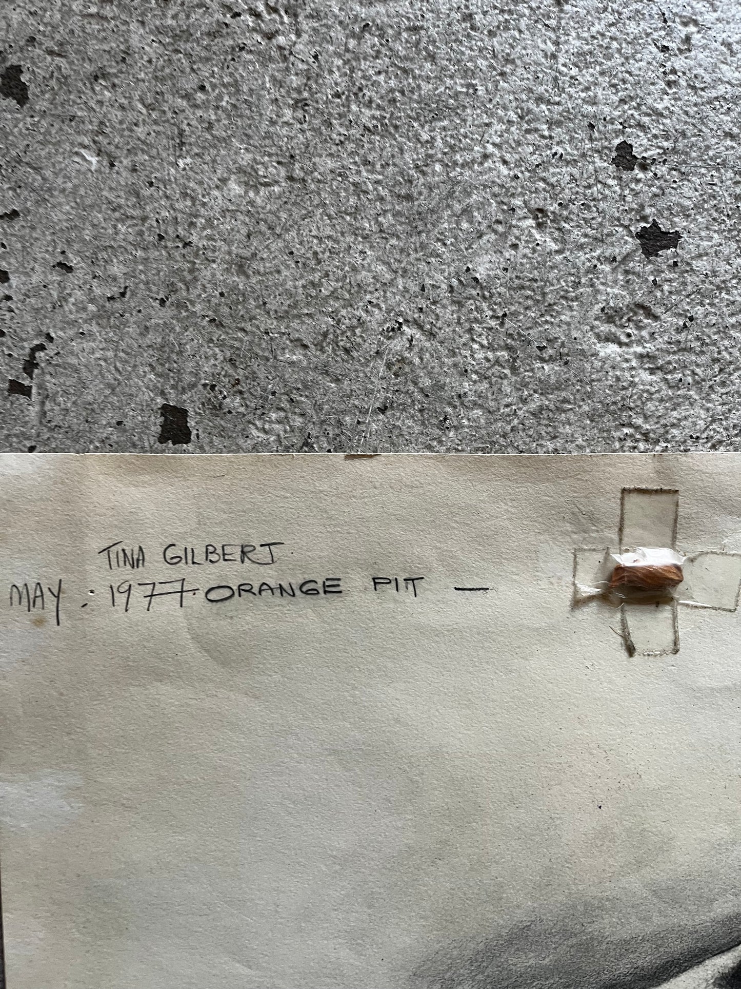 Orange Seed Study, 1970s