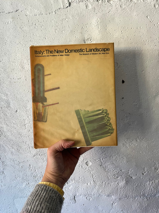 Italy: The New Domestic Landscape, 1972