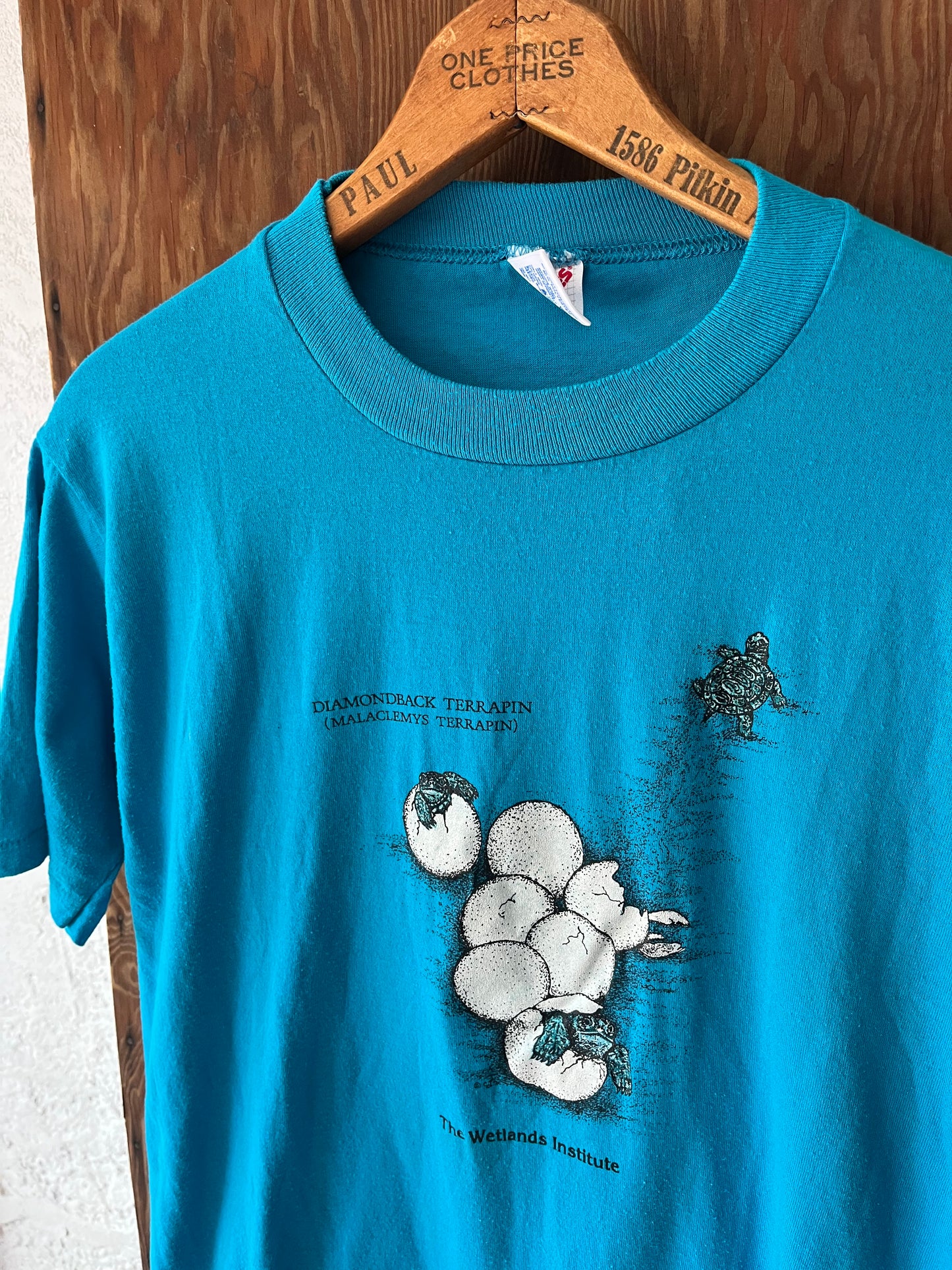 Wetlands Institute, Sz M, 1990s