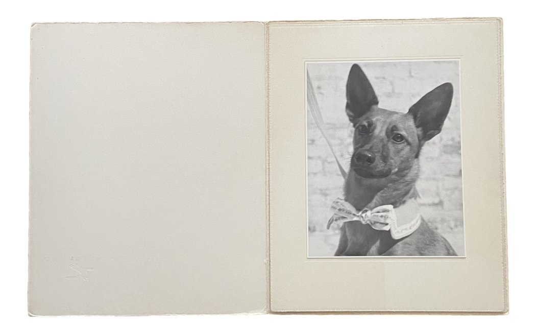 Well Dressed Dog by Kenneth Heilbron, Photograph, 1930s