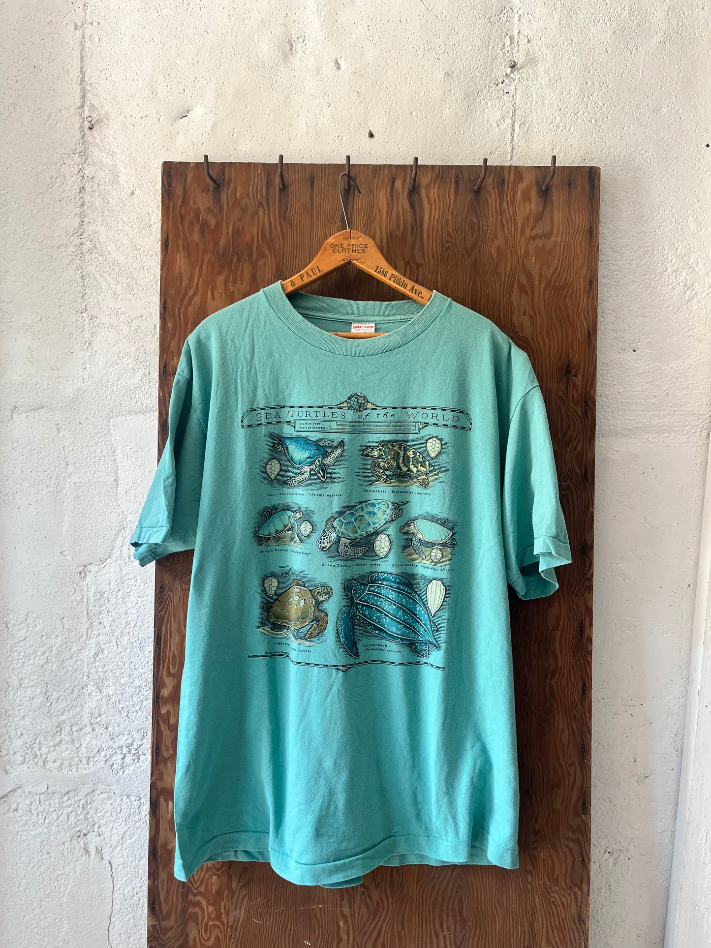 Sea Turtles of the World, Sz XL, 1990s