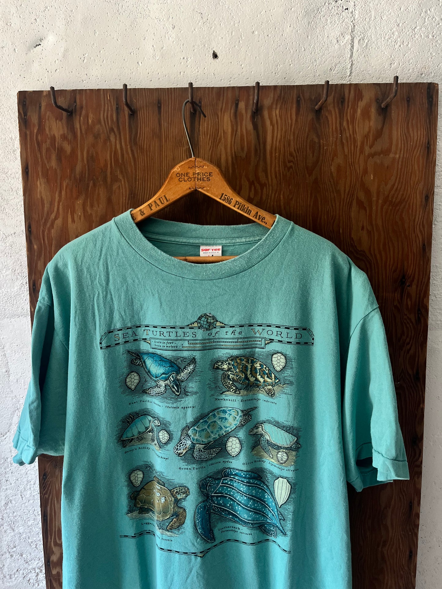 Sea Turtles of the World, Sz XL, 1990s