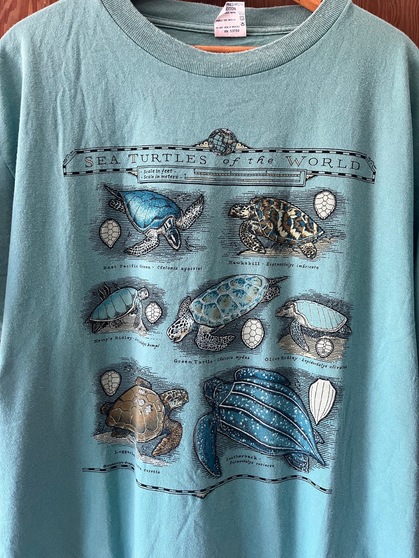Sea Turtles of the World, Sz XL, 1990s