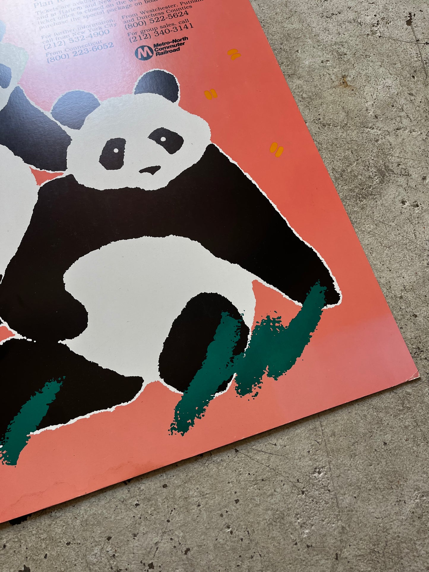 Bronx Zoo Panda Poster, 1987