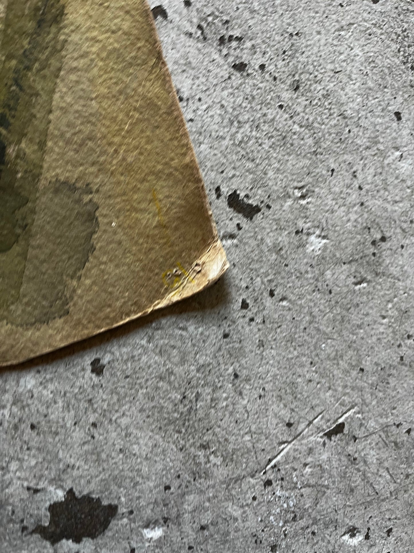 Still Life With Artichokes and Pear, 1950s