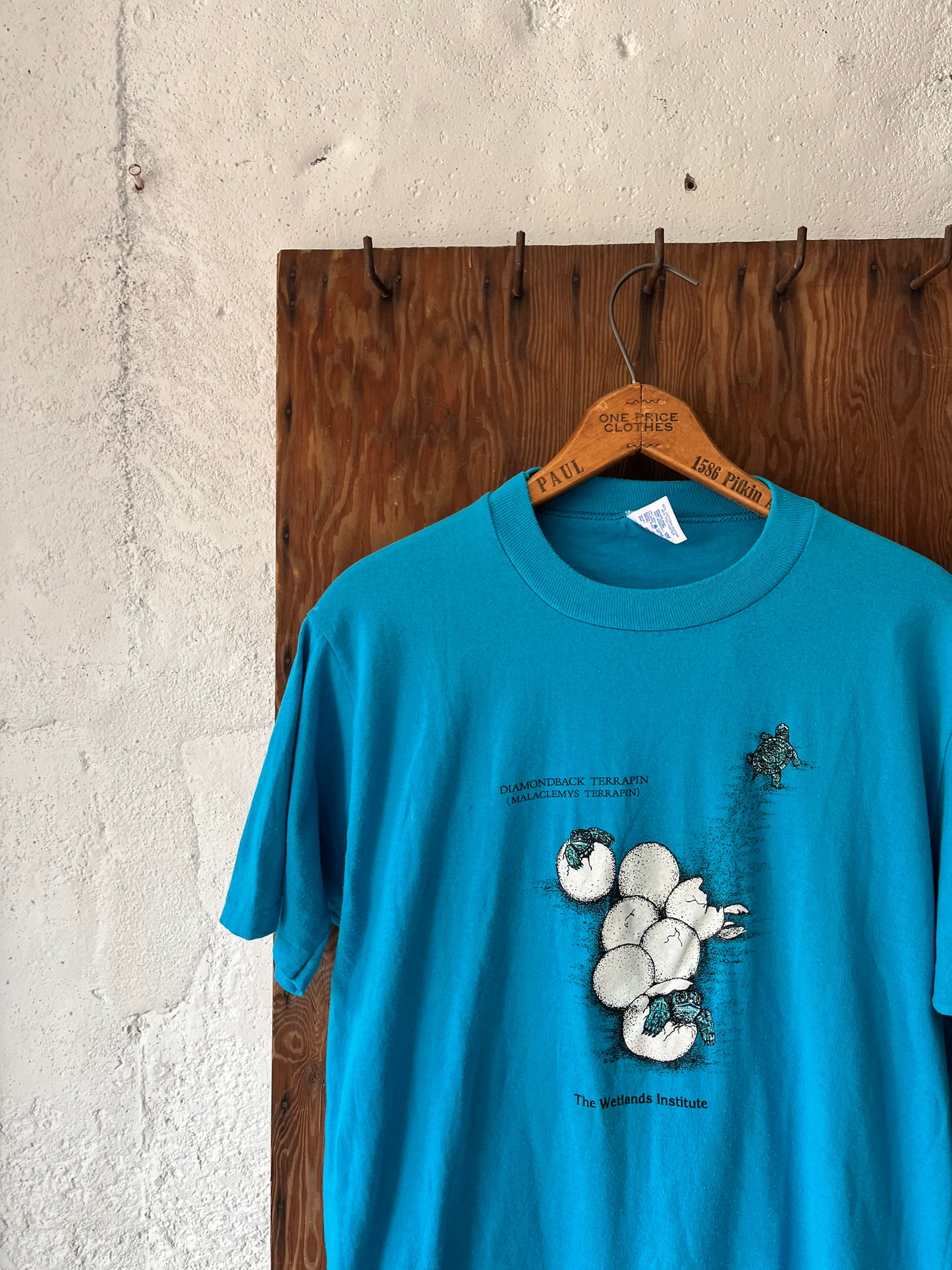 Wetlands Institute, Sz M, 1990s