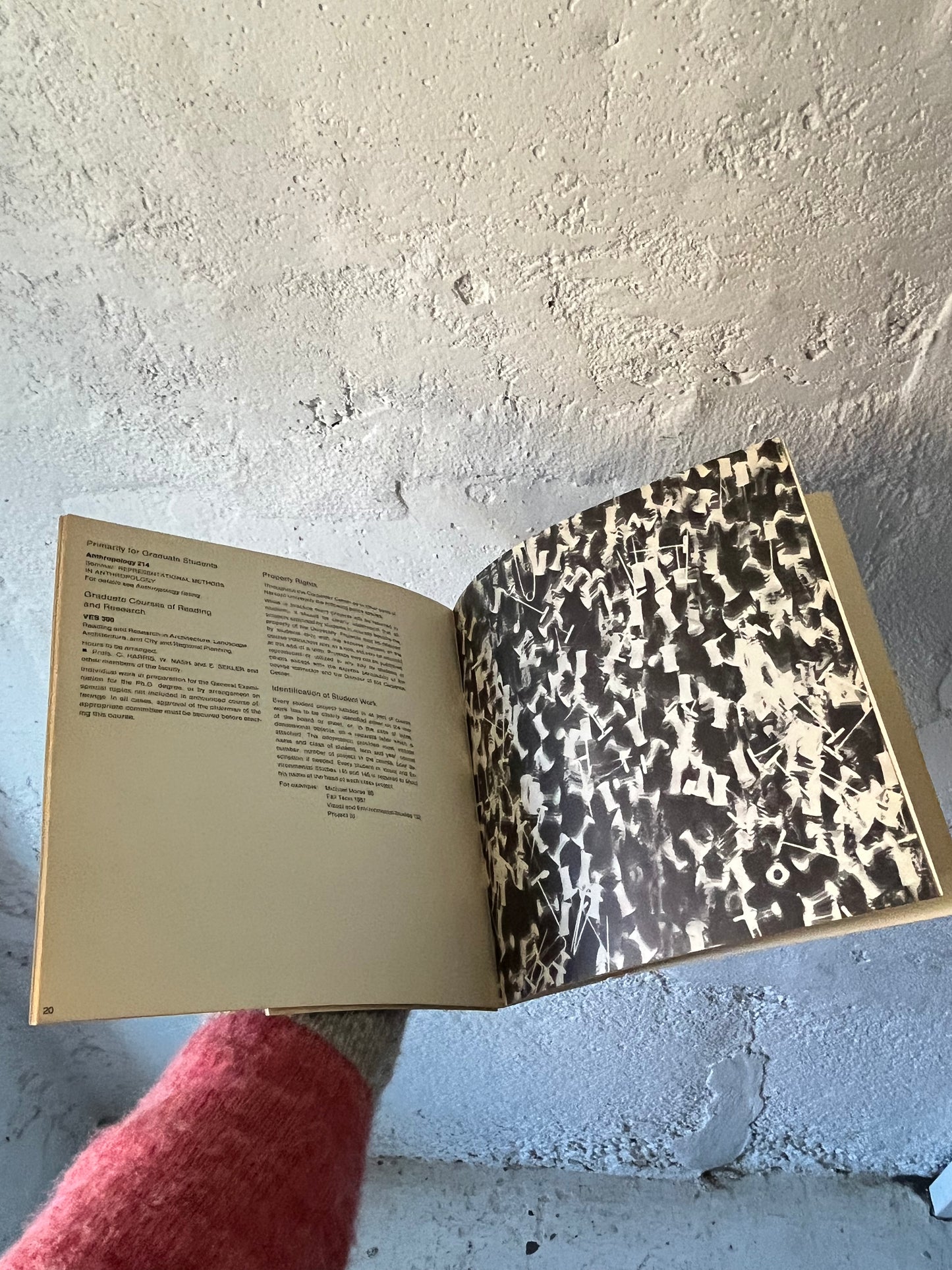 Harvard Visual Arts Course Catalogue, 1968-1969