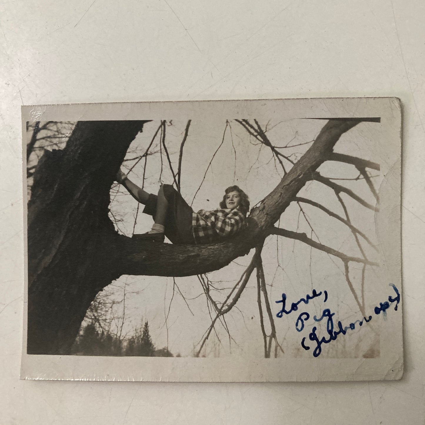 Girl in Tree, Snapshot, 1930s