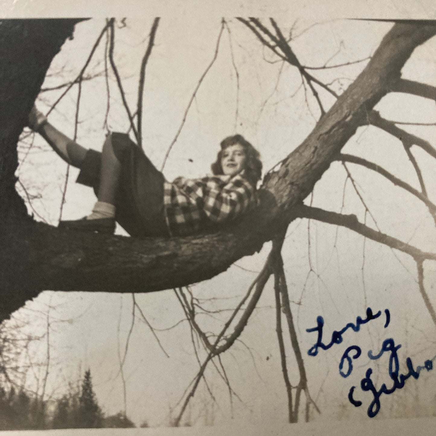 Girl in Tree, Snapshot, 1930s