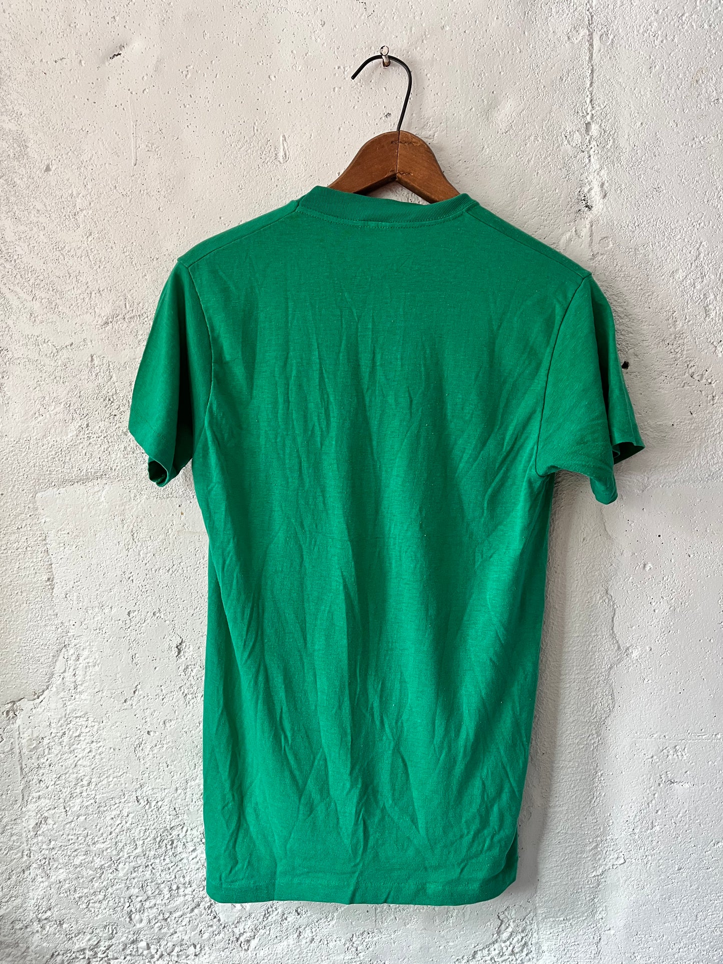 Los Amigos de Los Parques Chicago, Sz Sm, 1980s