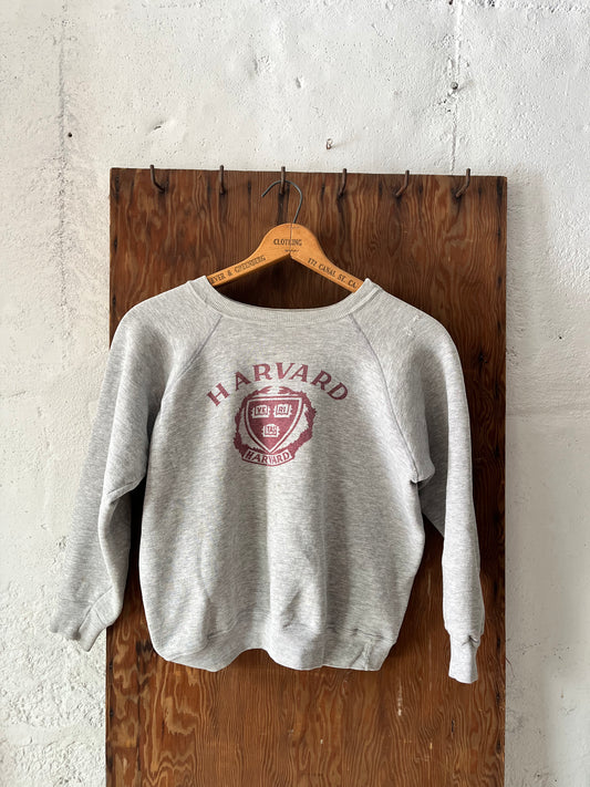Harvard Sweatshirt, Sz M, 1980s